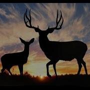 Deer Hunter 2014 Soundtrack Theme Song