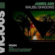 Malibu Shadows James Ash Alaia Gallo