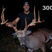 300 Lb Deer