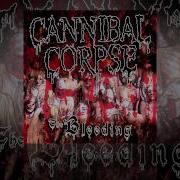 Cannibal Corpse Stripped Rapped And Strangled