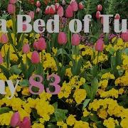 Flower Songs No 5 To A Bed Of Tulips New London Children S Choir