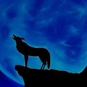 Roy Fox Blue Moon In The Sky