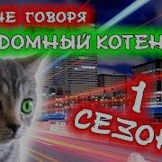 Короче Говоря Я Бездомный Котёнок От Первого Лица Короче Говоря