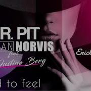 Mr Pit Sean Norvis Feat Justine Berg Afraid To Feal Erick Fill Remix