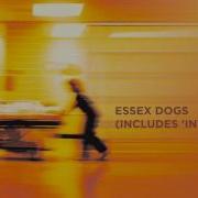 Essex Dogs Blur