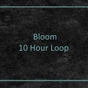 Bloom 10 Hour Loop