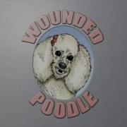 Wounded Poodle 2006