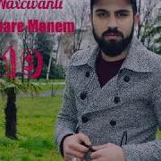 Avare Menem