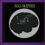 Pgg Skepseis