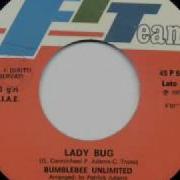 70 S Disco Music Bumblebee Unlimited Lady Bug 1978