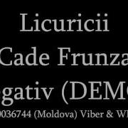 Licuricii Cade Frunza Versuri