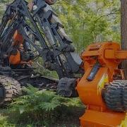 A Ranks Forest Machine