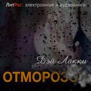 Аудикнига Отморозок