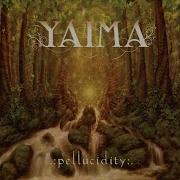 Pellucidity By Yaima