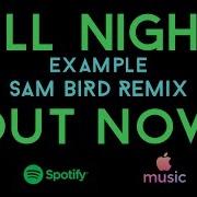 Example All Night Sam Bird Remix