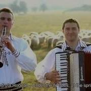 Музикэ Молдовеняскэ Ноуэ Новый Молдавский Музыка Muzică Moldovenească