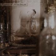 Sopor Aeternus The Ensemble Of Shadows The Conqueror Worm