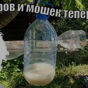 Про Комаров И Мошек