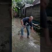 Video Lucu Joget Jaran Goyang Sampai Jatuh