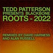 Roots David Harness Vocal Rework Tedd Patterson Blackbone