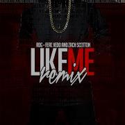 Rdg Like Me Remix Feat Vedo Zach Scotton