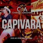 Capivara Conrado Aleksandro