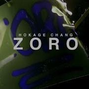 Zoro Hokage Chang