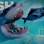 Fish Eat Grow Big Feed And Grow Ep1