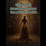 Путь Домой Анастейша Тиллман Глава 562