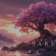 The Last Sakura Uplifting Japanese Zen Music For Positive Thoughts Flute Koto Ambience