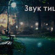 Simon Garfunkel The Sounds Of Silence Эквиритмический Перевод