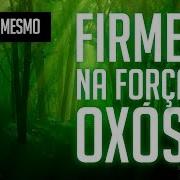 Umbanda Eu Sinto Faça Você Mesmo Firmeza Na Força De Oxóssi