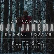 Kadhal Rojave Roja Janeman Flute Cover By Flute Siva Ar Rahman Sp Balasubrahmanyam Roja Flutesiva