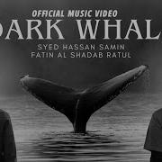 Dark Whale Syed Hassan Samin