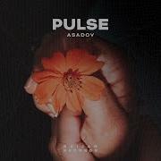 Asadov Pulse