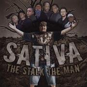 Sativa The Stalk The Man Sativa