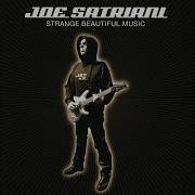 Seven String Joe Satriani