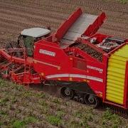 Safari Grimme