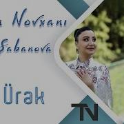 Tərlan Novxanı Feat Nigar Şabanova Bir Ürək