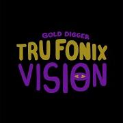 Vision Tru Fonix