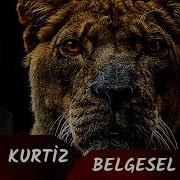 Tuncel Kurtiz Belgesel