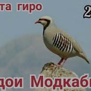Овози Кабки Мода Мп3