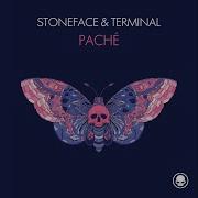 Pache Stoneface Terminal