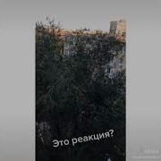 И Снова Седая Ночь Прикол