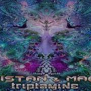 Triptamine Magik Tristan