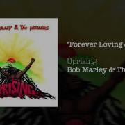 Forever Loving Jah Bob Marley The Wailers