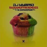 Raggamuffin T I Remix Dj Hybrid T I