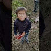 Шеър Дар Борай Президент