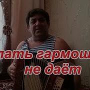 Спать Гармошка Не Даешь Минус
