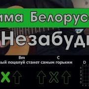 Незабудка Твой Любимый Цветок На Гитаре